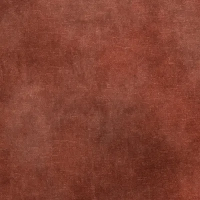 LOVELY CORAL thumbnail 3