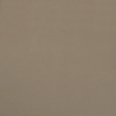 Lustre Beige thumbnail 2