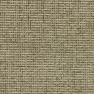 GABBA LICHEN thumbnail 3