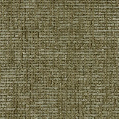 GABBA MOSS thumbnail 3