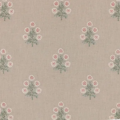 LYLA PASTEL thumbnail 3