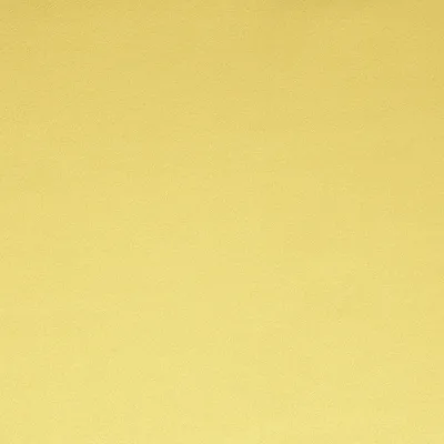 MACROSUEDE + DAFFODIL thumbnail 2