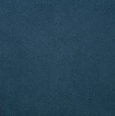 MACROSUEDE + NEPTUNE thumbnail 2