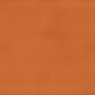 MACROSUEDE + TANGERINE swatch