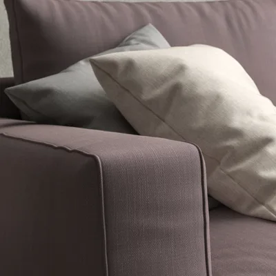 Malabar Acanthus thumbnail 5