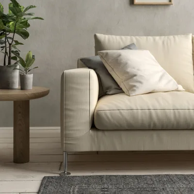 Malabar Almond thumbnail 4