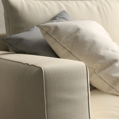 Malabar Almond thumbnail 5