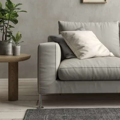 Malabar Ash thumbnail 4