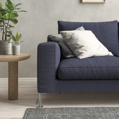 MALABAR BLUEBERRY thumbnail 4