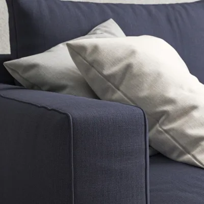 MALABAR BLUEBERRY thumbnail 5