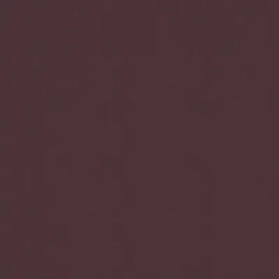 Malabar Cocoa thumbnail 3