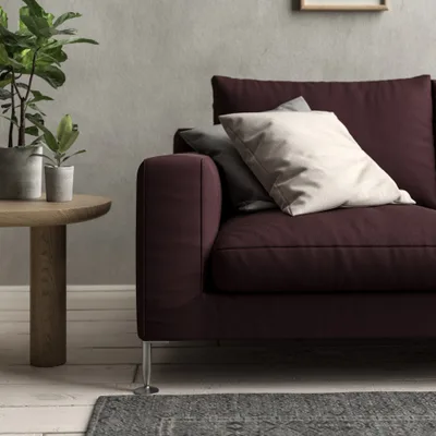 Malabar Cocoa thumbnail 4