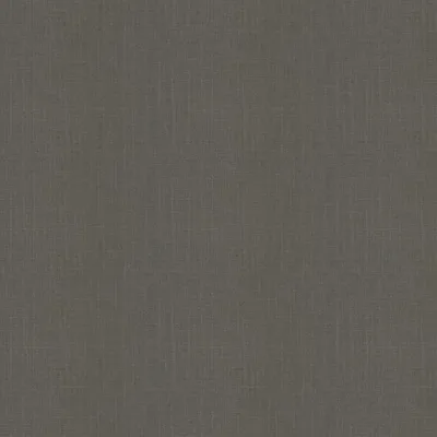 Malabar Donkey thumbnail 3