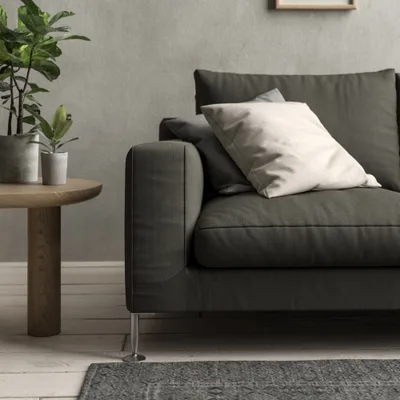 Malabar Donkey thumbnail 4