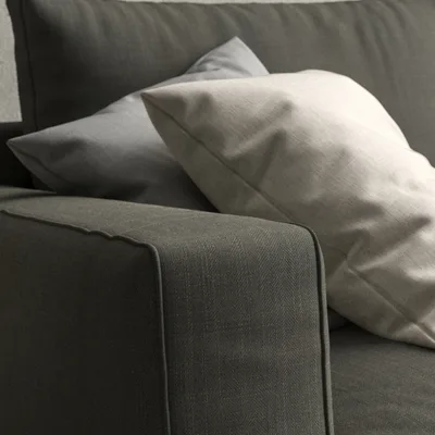 Malabar Donkey thumbnail 5