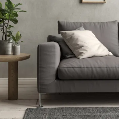 Malabar Elephant thumbnail 4