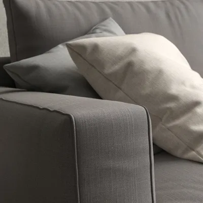 Malabar Elephant thumbnail 5