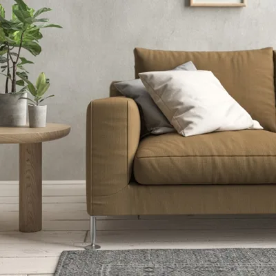 MALABAR FENNEL thumbnail 4