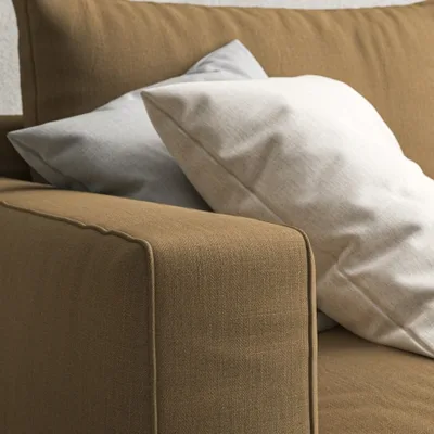 MALABAR FENNEL thumbnail 5