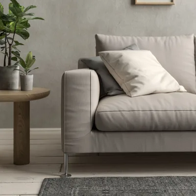 Malabar Ghost thumbnail 4