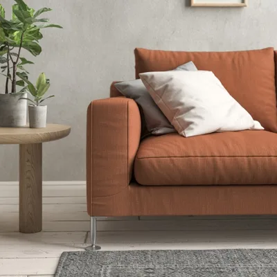 MALABAR MAPLE thumbnail 4