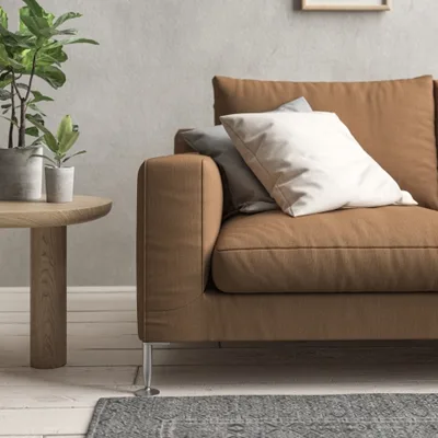 MALABAR NUTMEG thumbnail 4