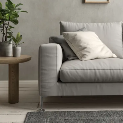 Malabar Oyster thumbnail 5