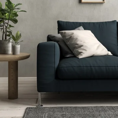 Malabar Pine thumbnail 4