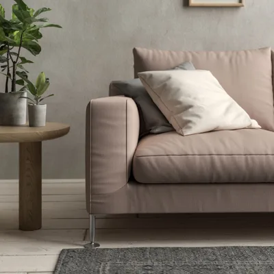 Malabar Rose thumbnail 4