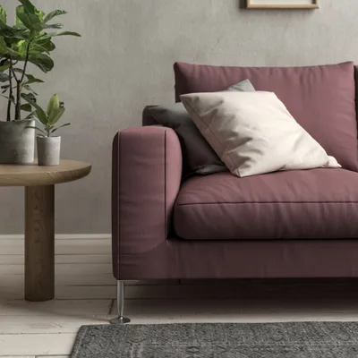 Malabar Thistle thumbnail 4