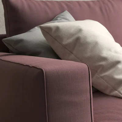 Malabar Thistle thumbnail 5