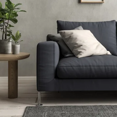 Malabar Thunder thumbnail 4