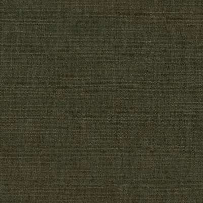 MANHATTAN CONIFER thumbnail 3