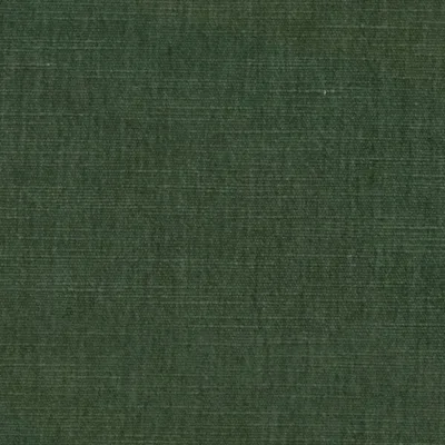 MANHATTAN FOREST thumbnail 3