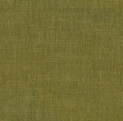 MANHATTAN MOSS thumbnail 3