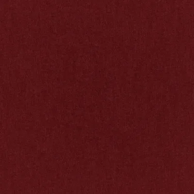 MANOLO CARMINE thumbnail 3