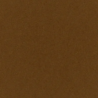 MANOLO CINNAMON thumbnail 3