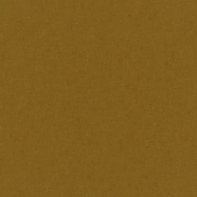 MANOLO GOLD thumbnail 3