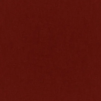 MANOLO HARISSA thumbnail 3