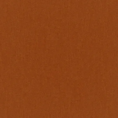 MANOLO MARMALADE thumbnail 3