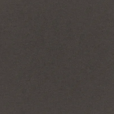 MANOLO MOLE thumbnail 3