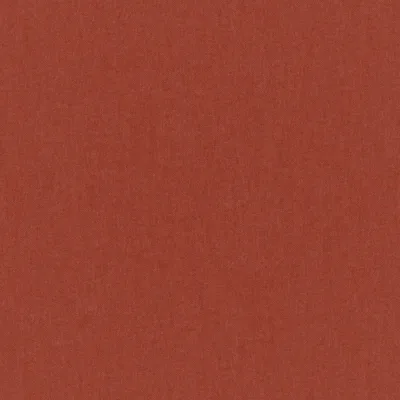 MANOLO PAPAYA thumbnail 3