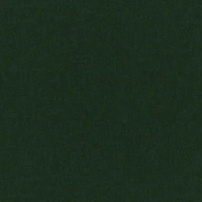 MANOLO PINE thumbnail 3