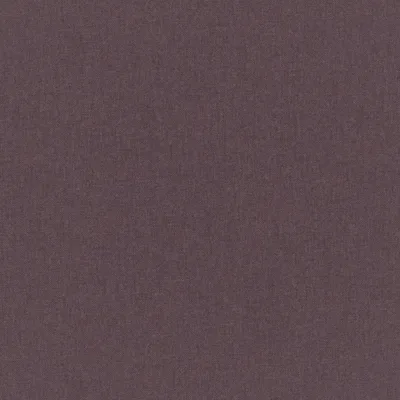 MANOLO WISTERIA thumbnail 3