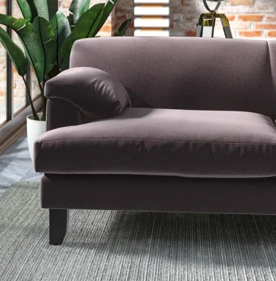 MANOLO WISTERIA thumbnail 4