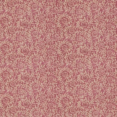 MANORVILLE ROSEHIP thumbnail 3