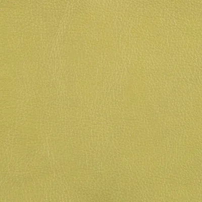 MARLBOROUGH AVOCADO — MARLBOROUGH swatch, view 1