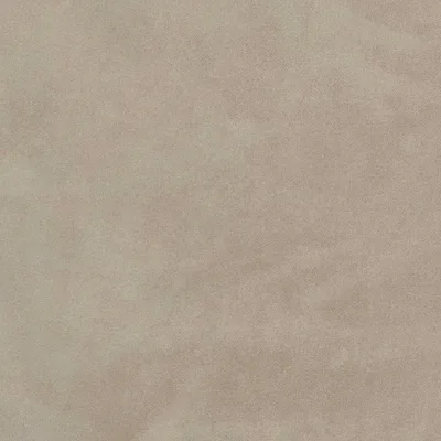 MARVELLOUS BONE thumbnail 3