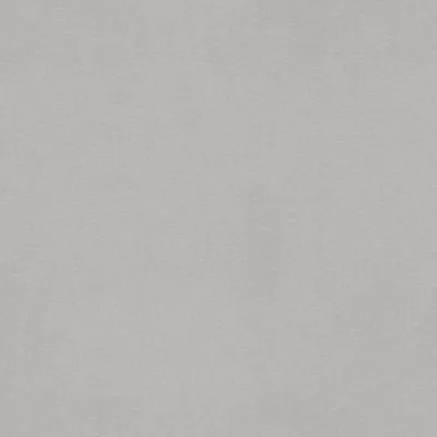 MELODY BIRCH thumbnail 3