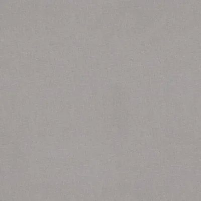 MELODY SHELL thumbnail 3